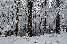 sneeuw