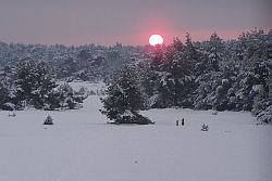 Ondergaande winterzon